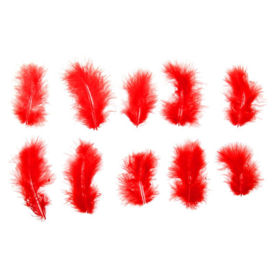 Набор перьев Красный 10 шт